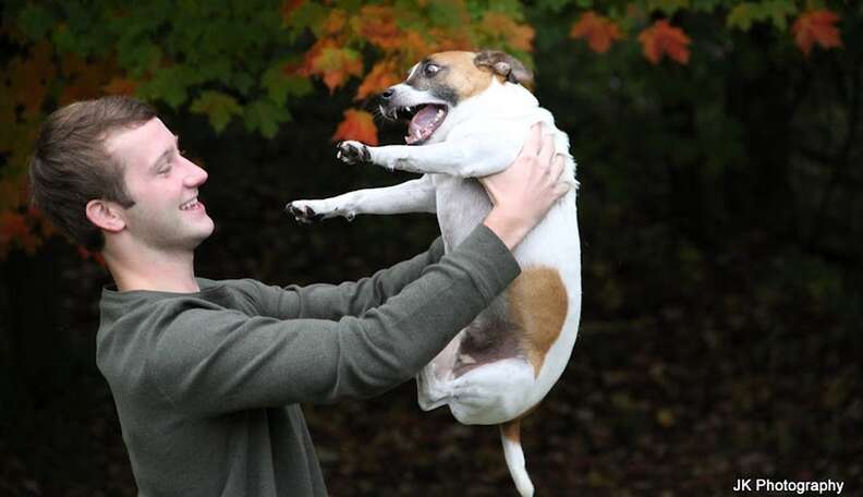 как держать щенка. держит собаку иллюстрация. поднимать собаку на руки. как правильно брать щенка. поднимать собаку на руки.
