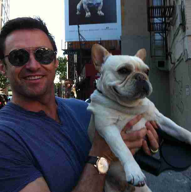 9 Perfect Photos Of Hugh Jackman Cuddling His Dogs The Dodo 9 Perfect Photos Of Hugh Jackman Cuddling His Dogs The Dodo