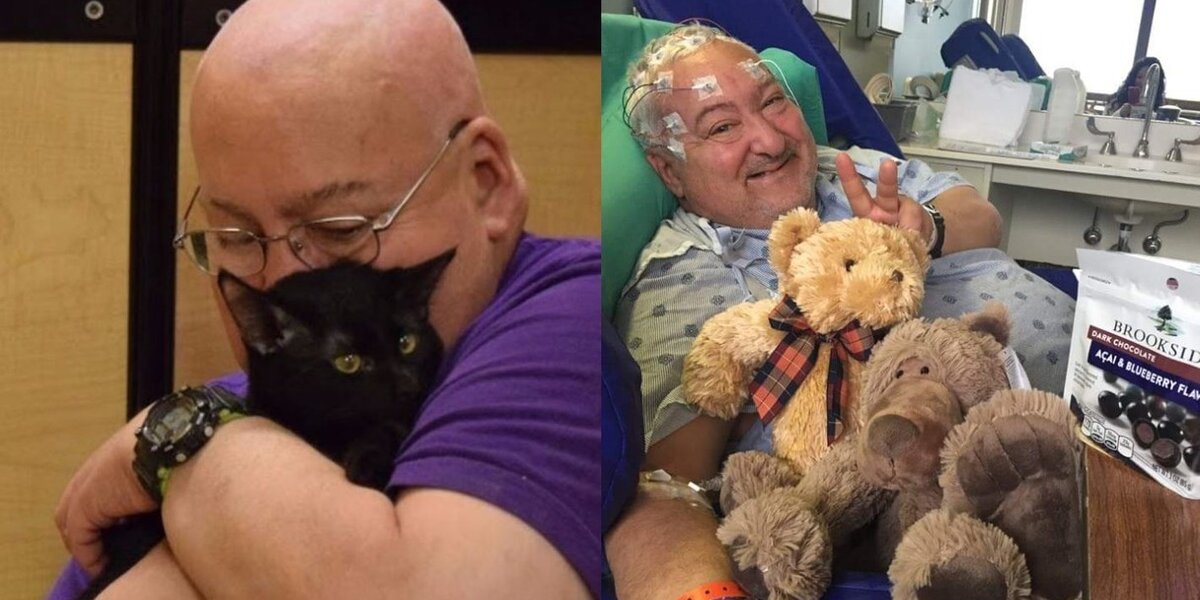 Teddy blake caty dark beige on sale