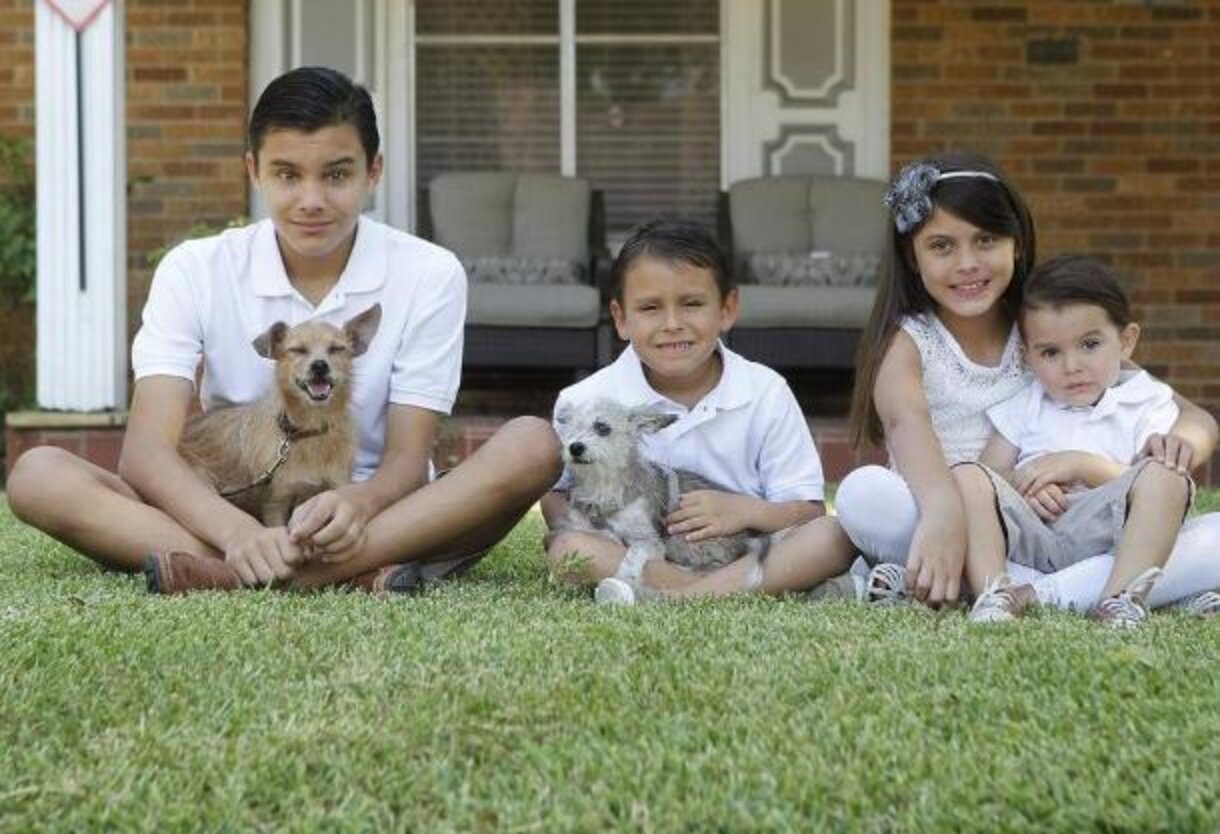 Family Does Nicest Thing After Learning Their Lost Dog Had A Friend On