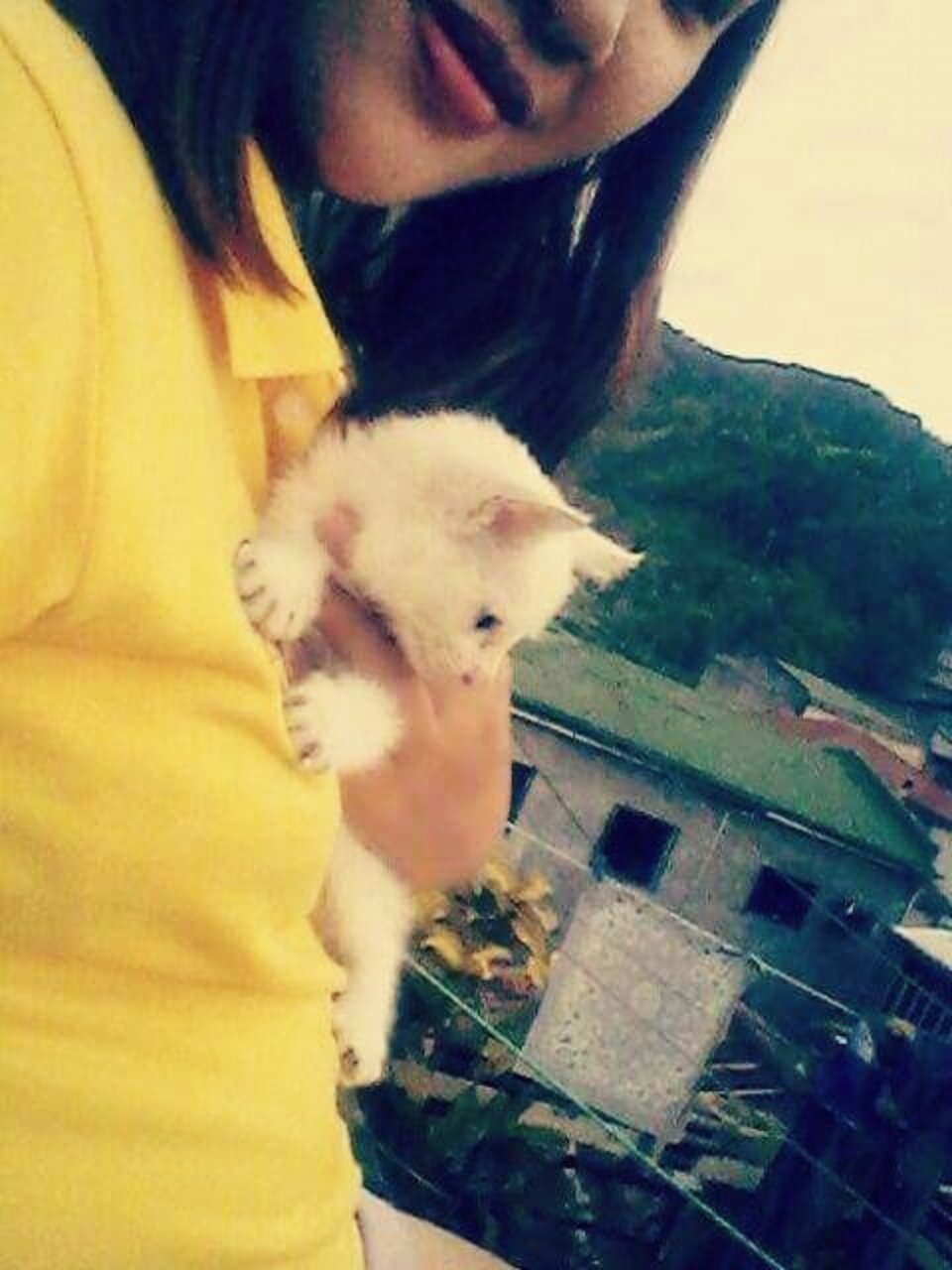 Meet Vincent. - The Dodo