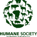 Photo of author Humane Society International