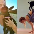 Animal Rescuer And Her Baby Goat Are Perfect Yoga Pals