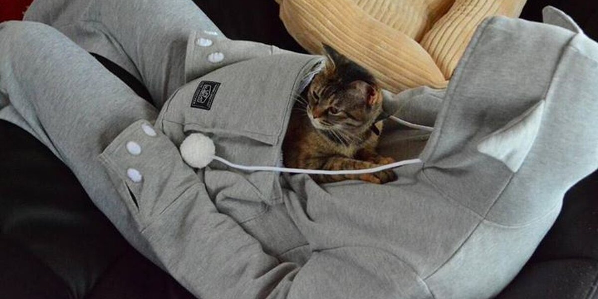 Cat store in hoodie