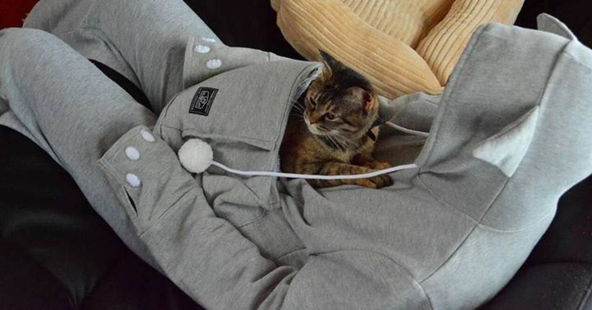 Hoodie to shop put cat in