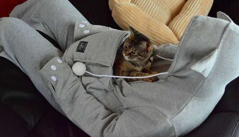 Genius New Hoodie Allows You To Wear Your Cat Wherever You Go The Dodo