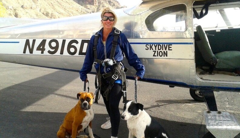 Homeless Dog Walker Finds Redemption In Building A Rescue Shelter - The ...