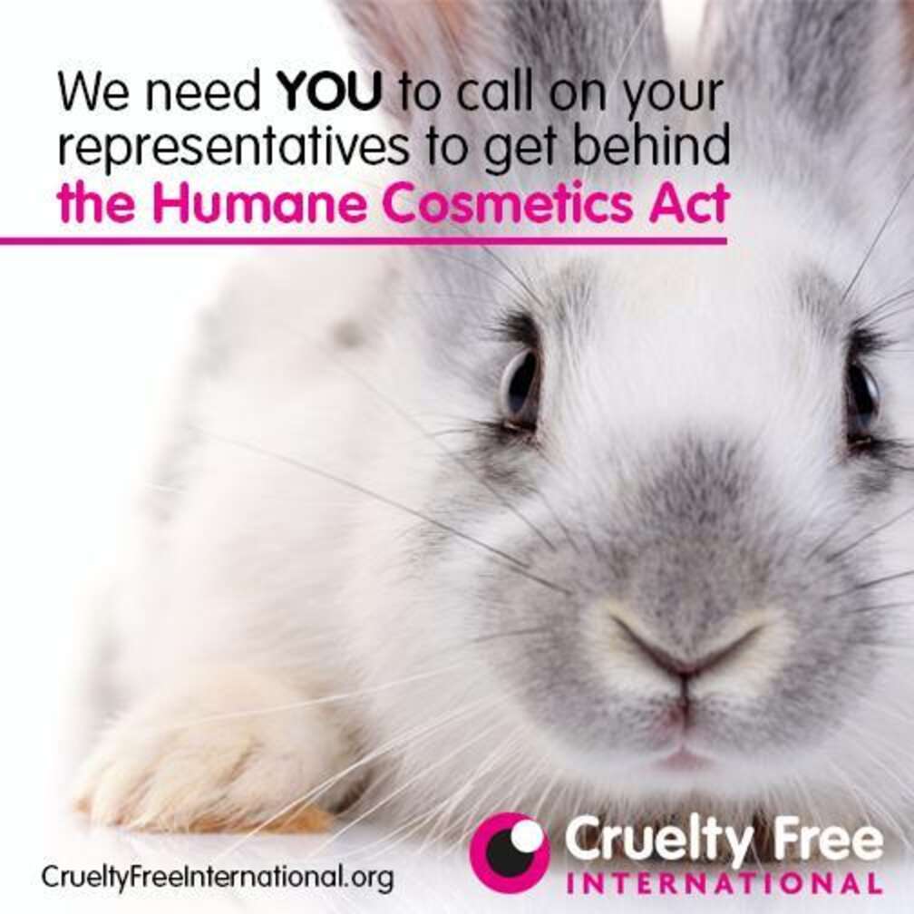 Cruelty Free Cosmetics Are Healthier For You. Here's Why. - The Dodo