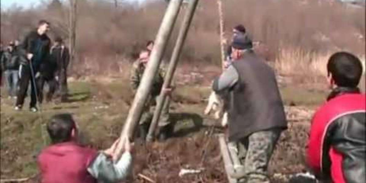 Stop Dog Spinning Festival in Bradilovo, Bulgaria! The Dodo