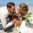 Newlyweds Give Their Dying Dog The Trip Of A Lifetime