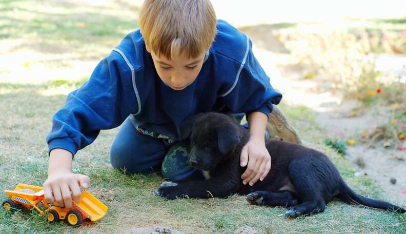 The Emotional Lives Of Animals: Children And Animal Minds - The Dodo The Emotional Lives Of Animals: Children And Animal Minds - The Dodo