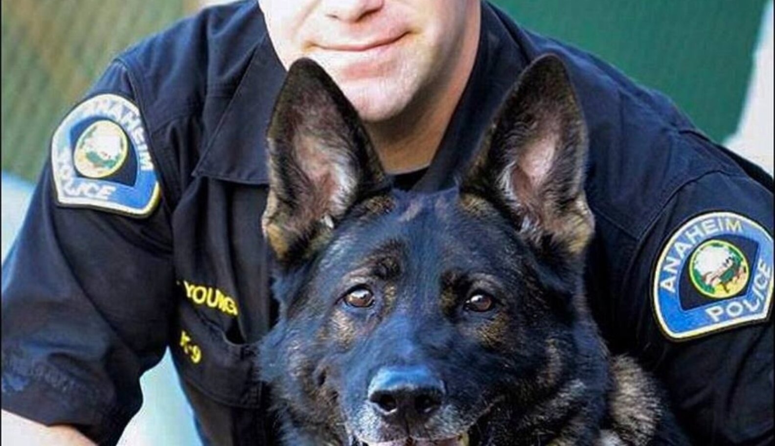 Cop Adopts Police Dog Who Was Shot In The Line Of Duty - The Dodo