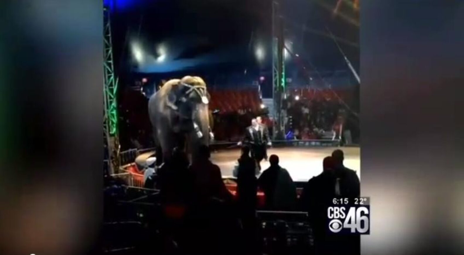 Elephant Allegedly Dragged Offstage By His Mouth At Nightmare Circus ...