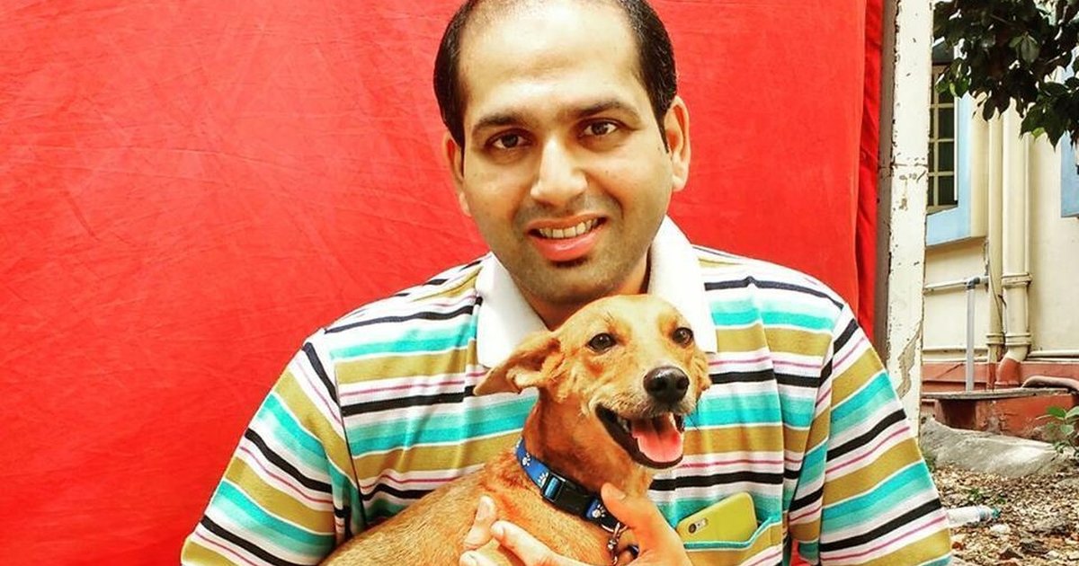 Puppy Thrown Off Roof In Viral Video Can't Stop Smiling Now The Dodo