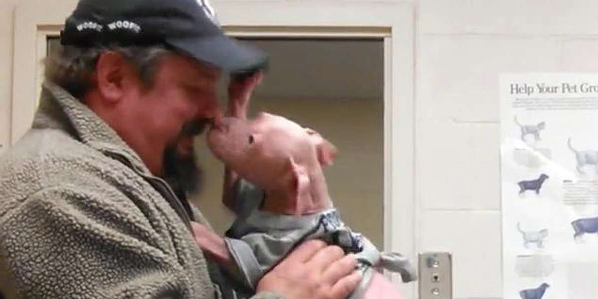 Rescued Pit Bull Puppy Can't Stop Kissing The Man Who Saved Him - The Dodo