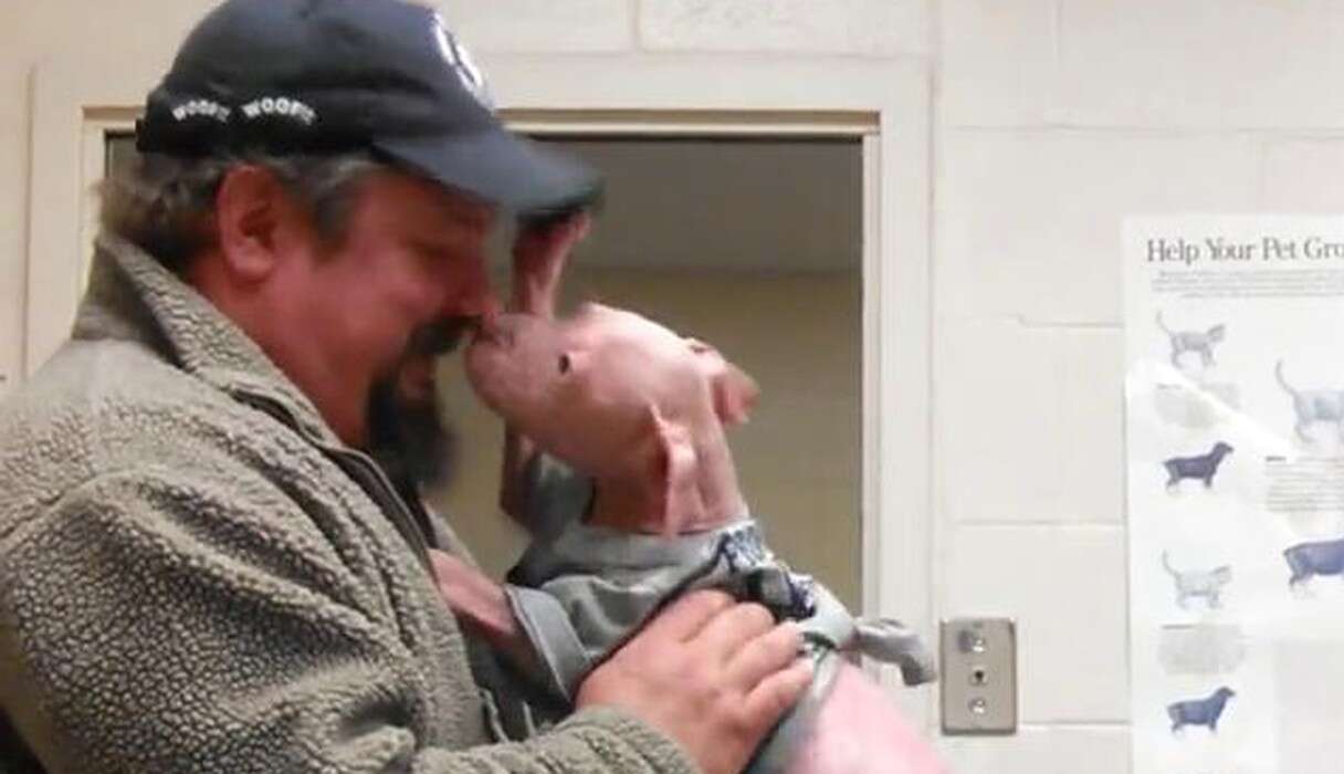 Rescued Pit Bull Puppy Can't Stop Kissing The Man Who Saved Him - The Dodo