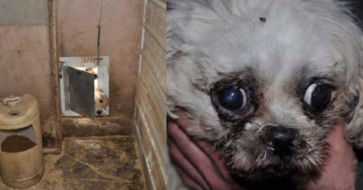 Meilleures site de rencontre