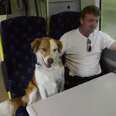 Man Shocked To Bump Into His Dog On Train Ride To Work