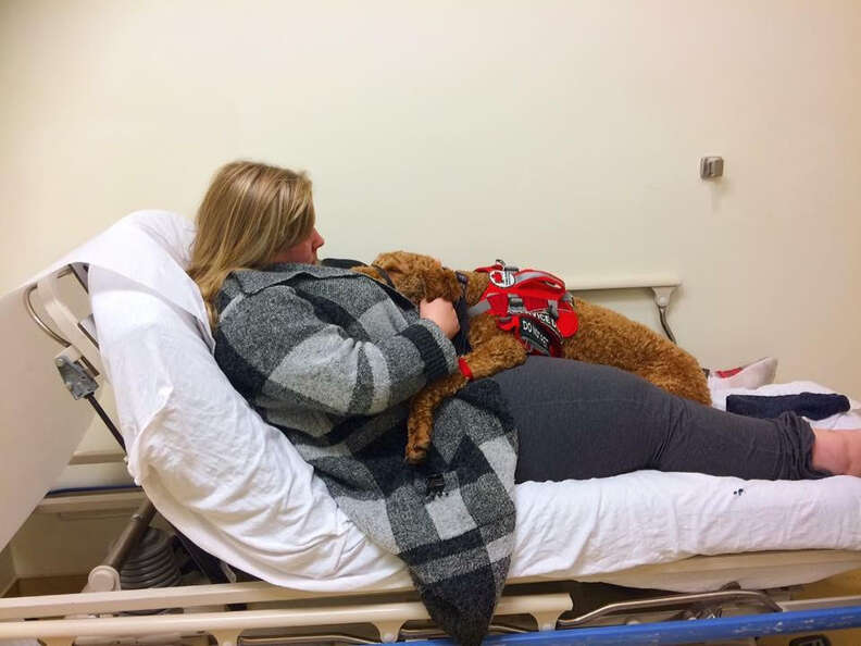 service dog laying on woman at hospital