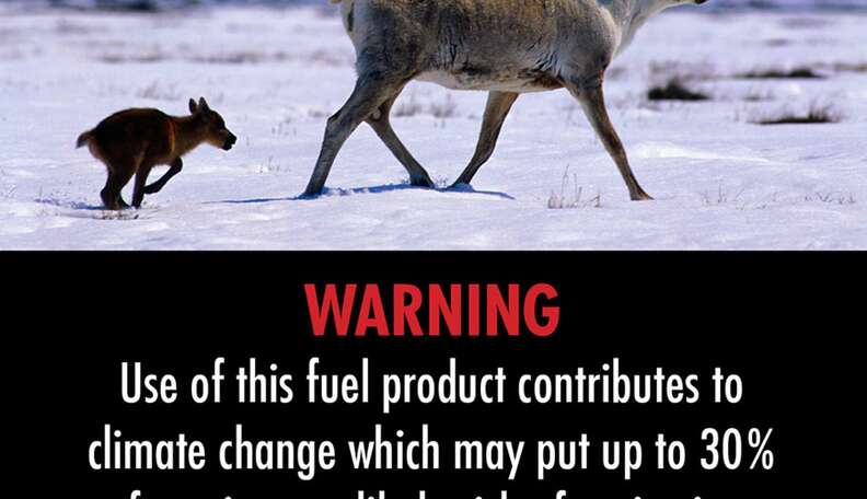 Everyone Should See This When They're Pumping Gas - The Dodo