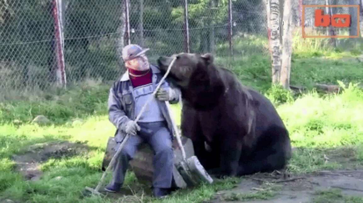 Elderly Finnish Man Gets Really Into His Research Project, Raises 20 ...