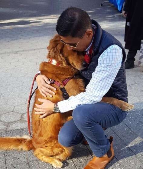 Golden retriever dog giving a hug in New York City