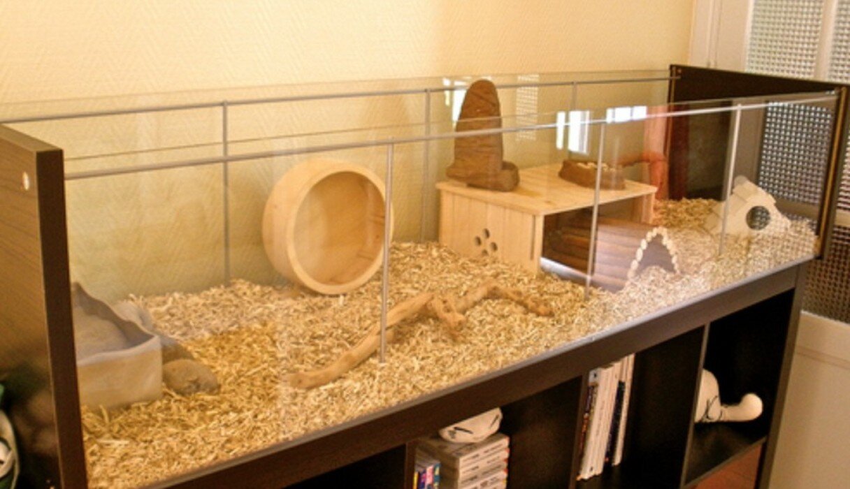 what cage should i get for my hamster