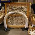 China's Ivory Ban Is Not The Victory It Appears To Be