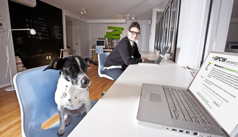 Dogs in the Workplace: Command C Design - The Dodo