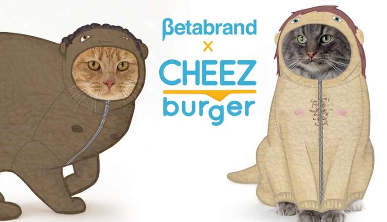 I Can Has Cheezburger? - beluga - Funny Animals Online - Cheezburger