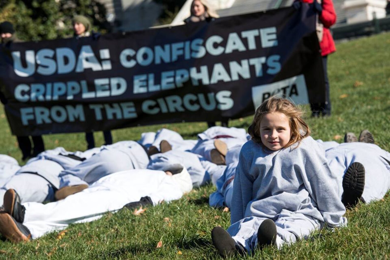 Will Circus Elephants Ever Get Their Blackfish Moment? - The Dodo