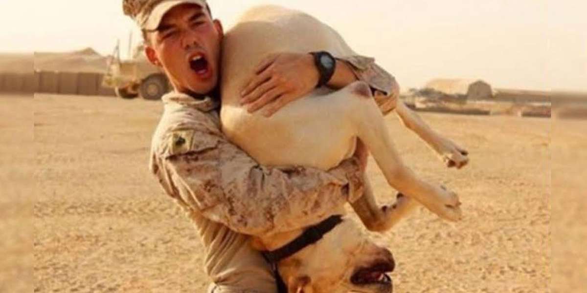 Marine Reunites With Dog He Thought He'd Lost Forever - The Dodo