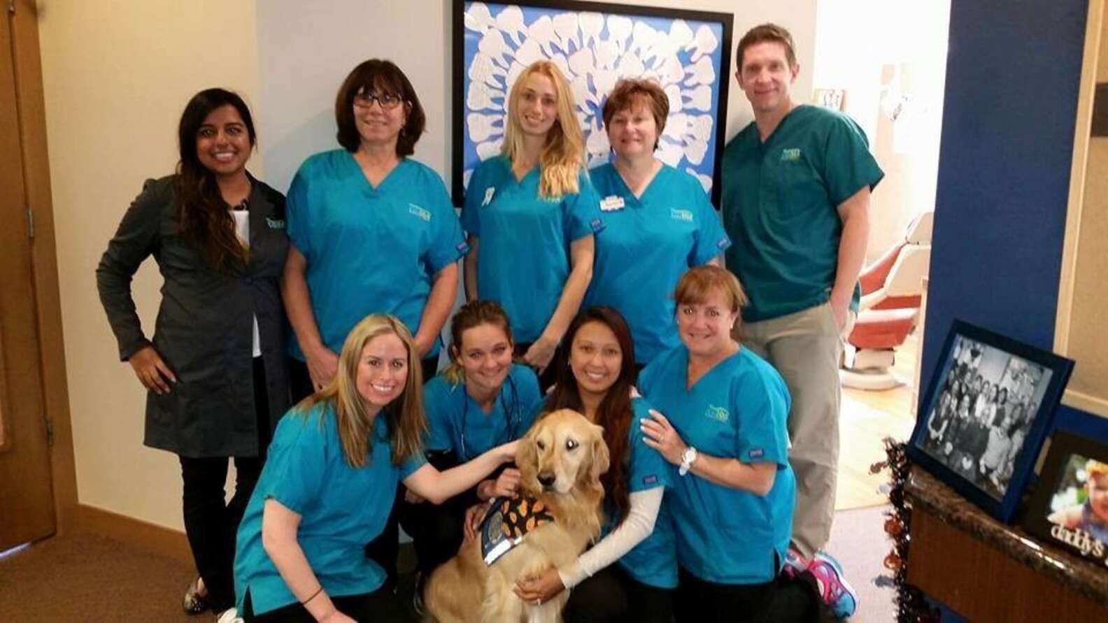 Dentist S Office Hires Cutest Assistant To Help Patients