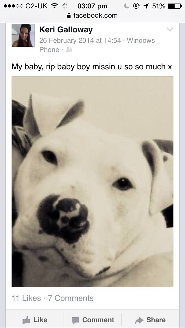 Can The Police Take My Dog Away