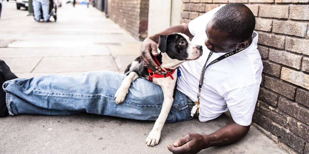 This Man And Dog Were Homeless At The Same Time — But Found Each Other