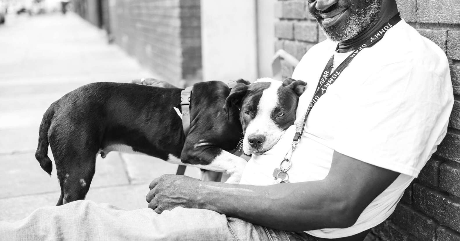 This Man And Dog Were Homeless At The Same Time — But Found Each Other ...