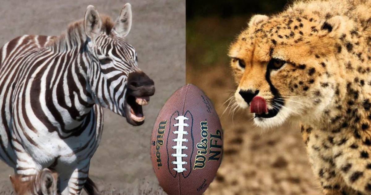 the only animal players fantasy team!! #nfl #fantasyfootball