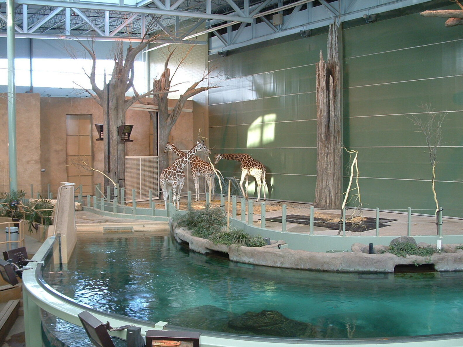 Penguins Mysteriously Drown at Canadian Zoo The Dodo