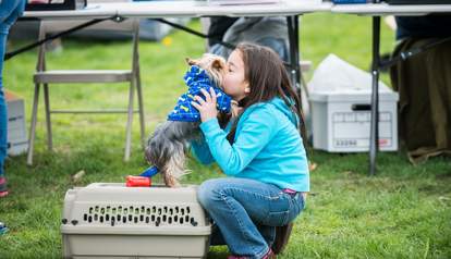 On Day Of Giving Let S Boost Our Pets For Life Program The Dodo