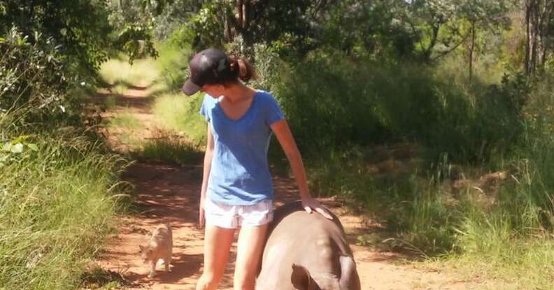 Cat and rhino take a walk with their caretaker at The Rhino Orphanage