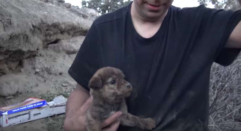 man crawls into tiny cave to save abandoned puppies