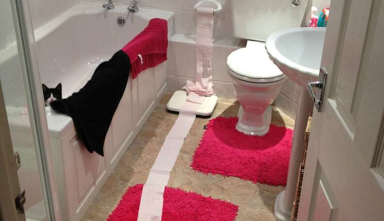 From Facebook: Who Can We Blame for the Carpet in the Bathroom Trend?