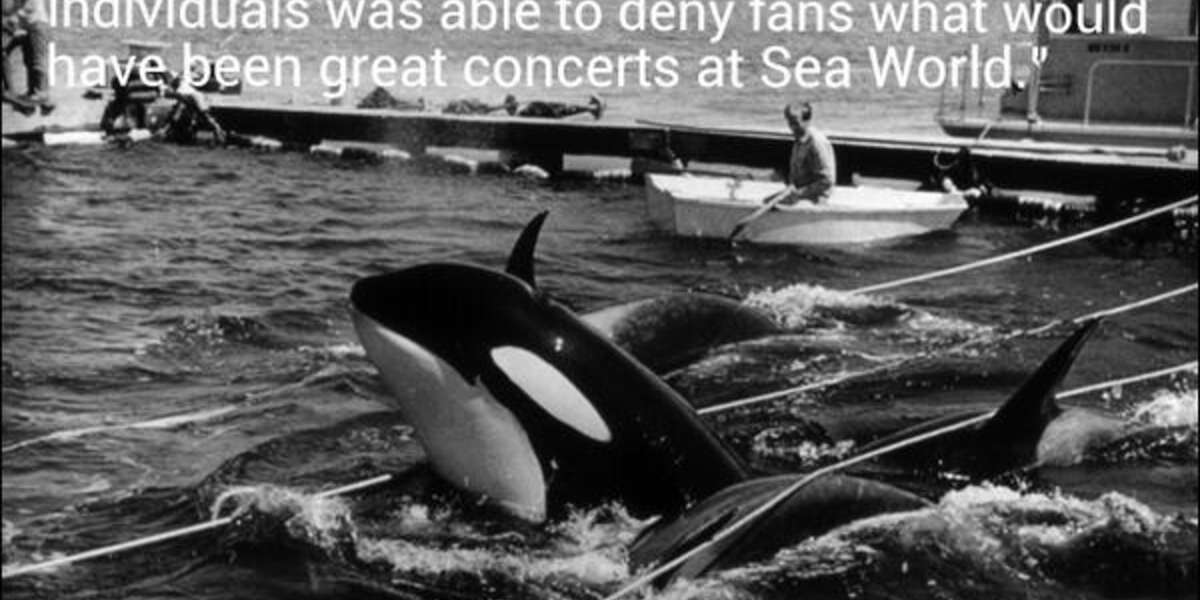 Disturbed that your negligence/greed denies marine animals a great life ...