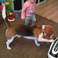 Baby Teaches Dog to use Hoover: Cute
Dog and Baby Video