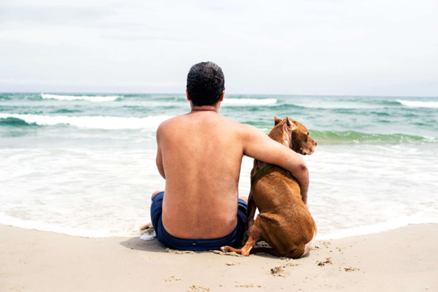 Пара с собакой на пляже