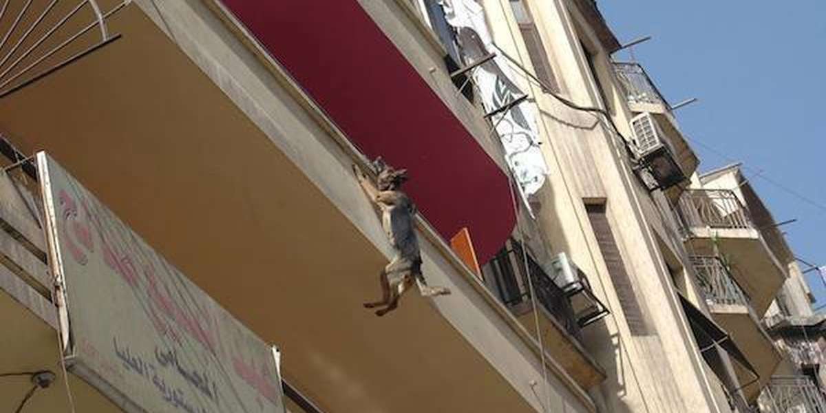 View of Dog Chained On Balcony Tries To Free Herself ... By Jumping - The Dodo