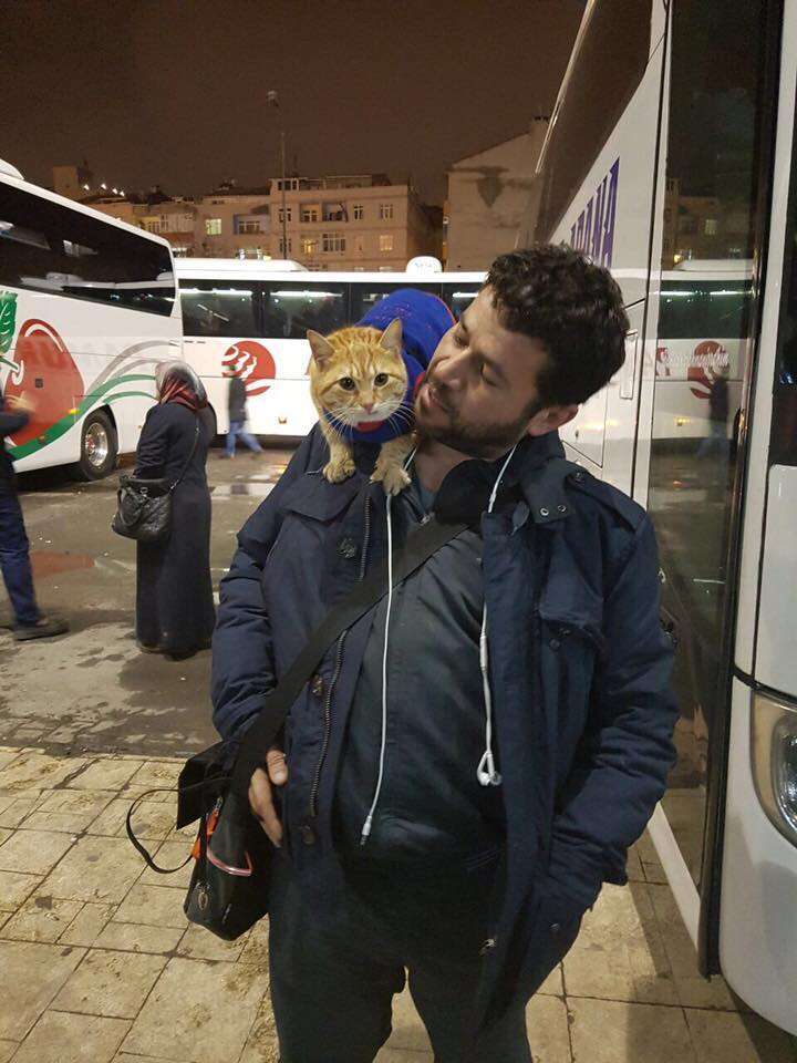 Alaa fleeing to Turkey