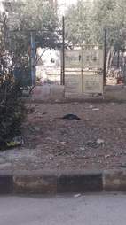 Famous cat sanctuary in ruins after the war
