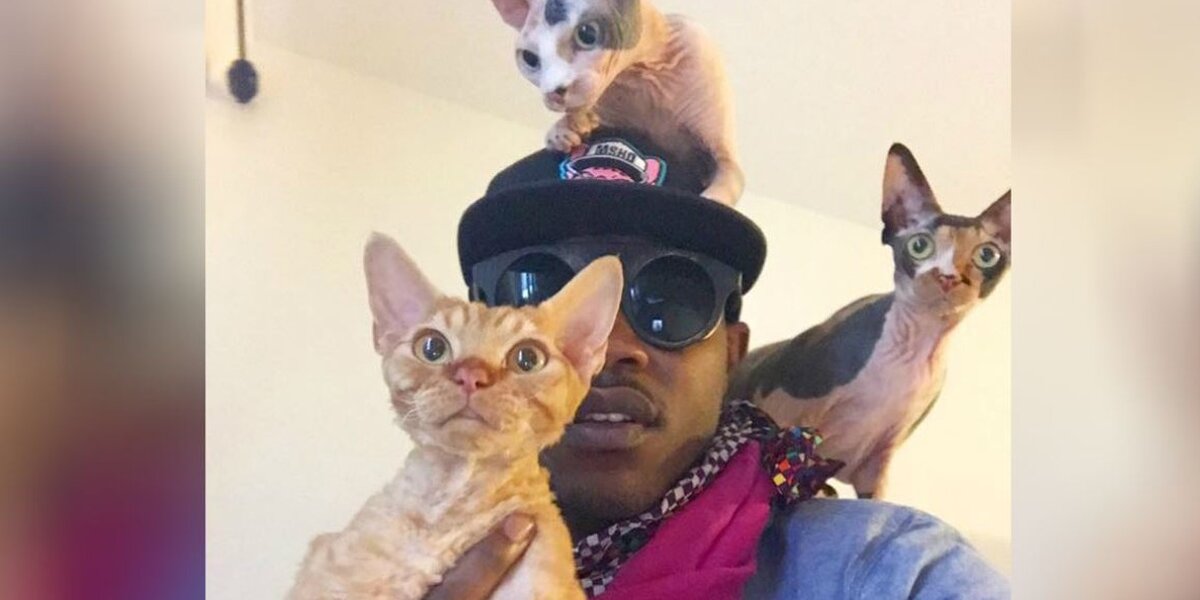 Man Who Swore He Didn’t Like Cats Can’t Live Without Them Now - The Dodo