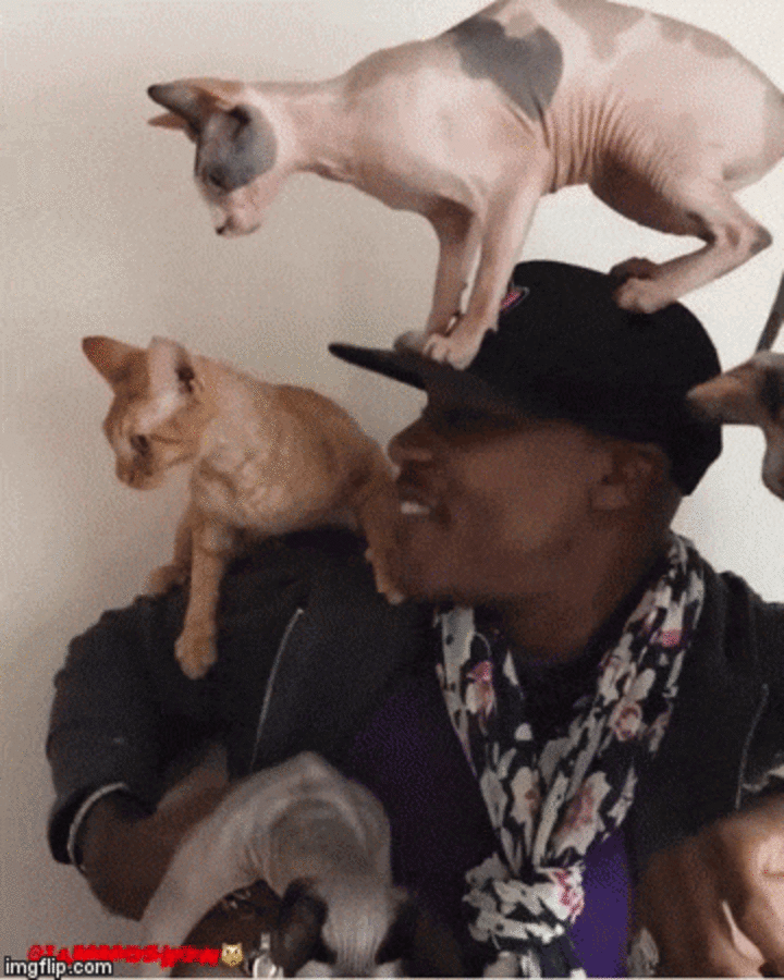 Man Who Swore He Didn’t Like Cats Can’t Live Without Them Now - The Dodo